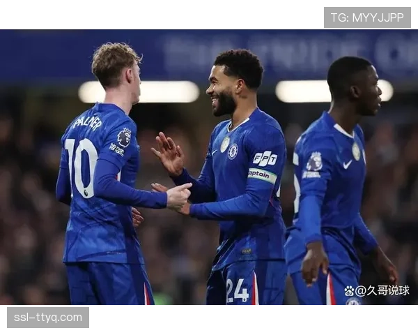 切尔西2-0战胜利兹联，若昂·佩德罗和帕尔默联袂破门